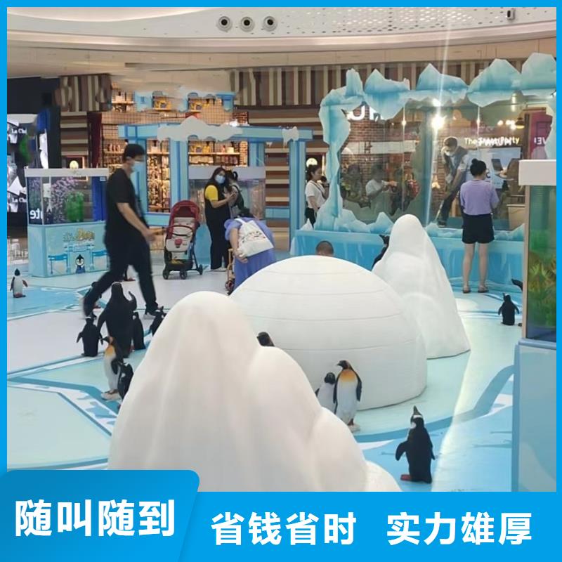 美人鱼表演出租质量可靠