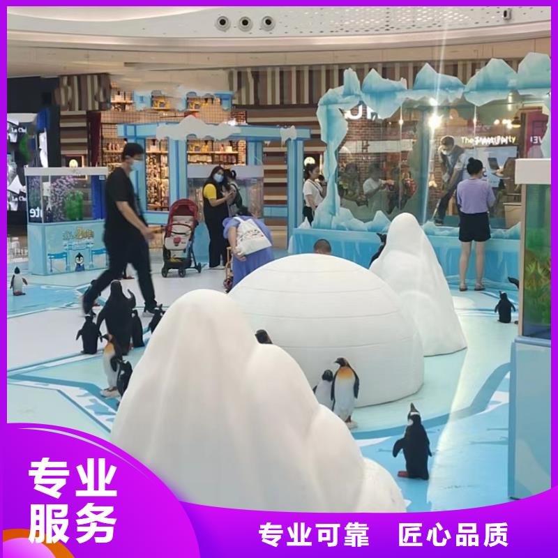 【海洋主题动物表演-马戏团出租 全市24小时服务】