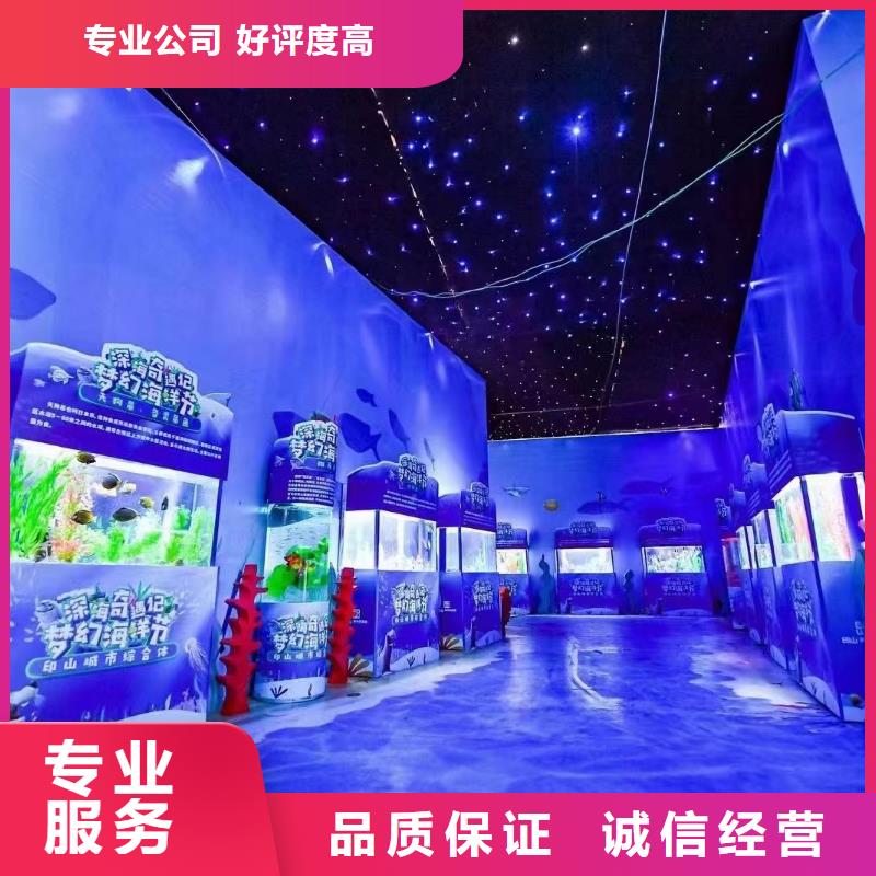 海洋主题动物表演羊驼出租技术成熟