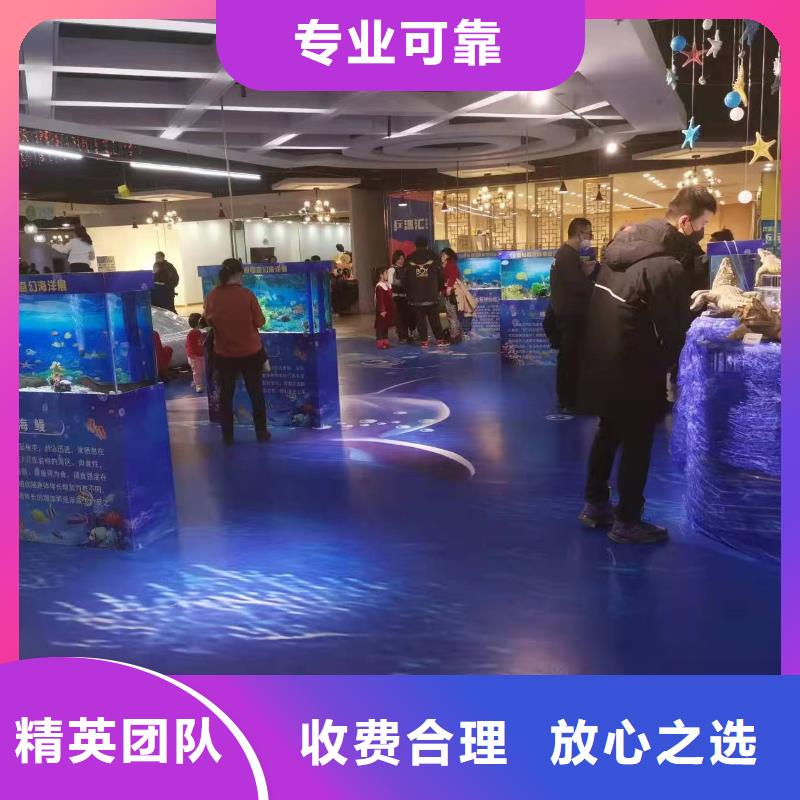 海洋主题动物表演企鹅出租表演资质齐全