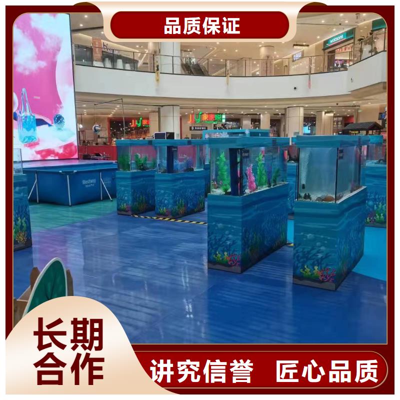 海洋主题动物表演-羊驼出租口碑公司