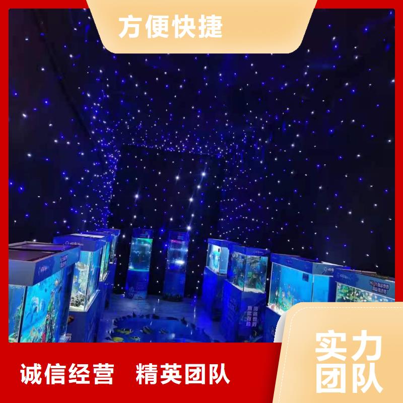 海洋主题动物表演,【企鹅表演出租】精英团队