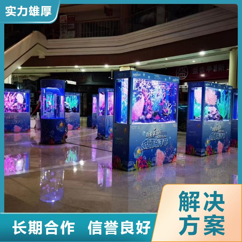 【海洋主题动物表演】海狮表演租赁多年行业经验