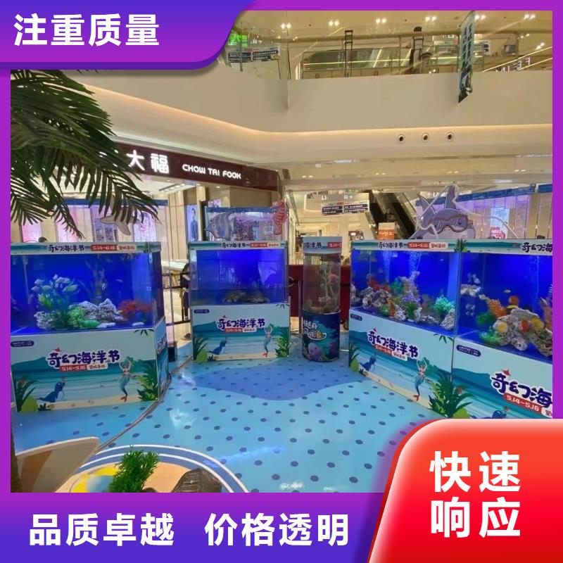 海洋主题动物表演出租表演鹦鹉团队