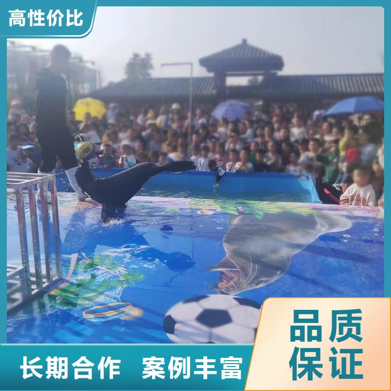 海洋主题动物表演观赏性羊驼租赁长期合作