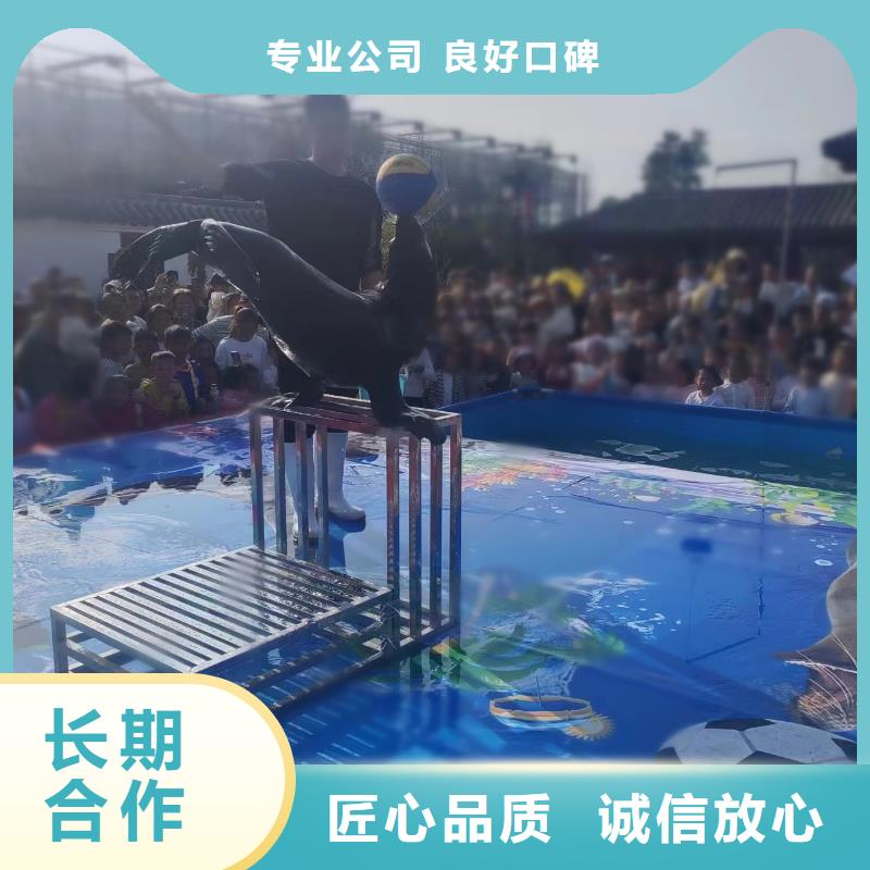 海洋主题动物表演羊驼出租效果满意为止