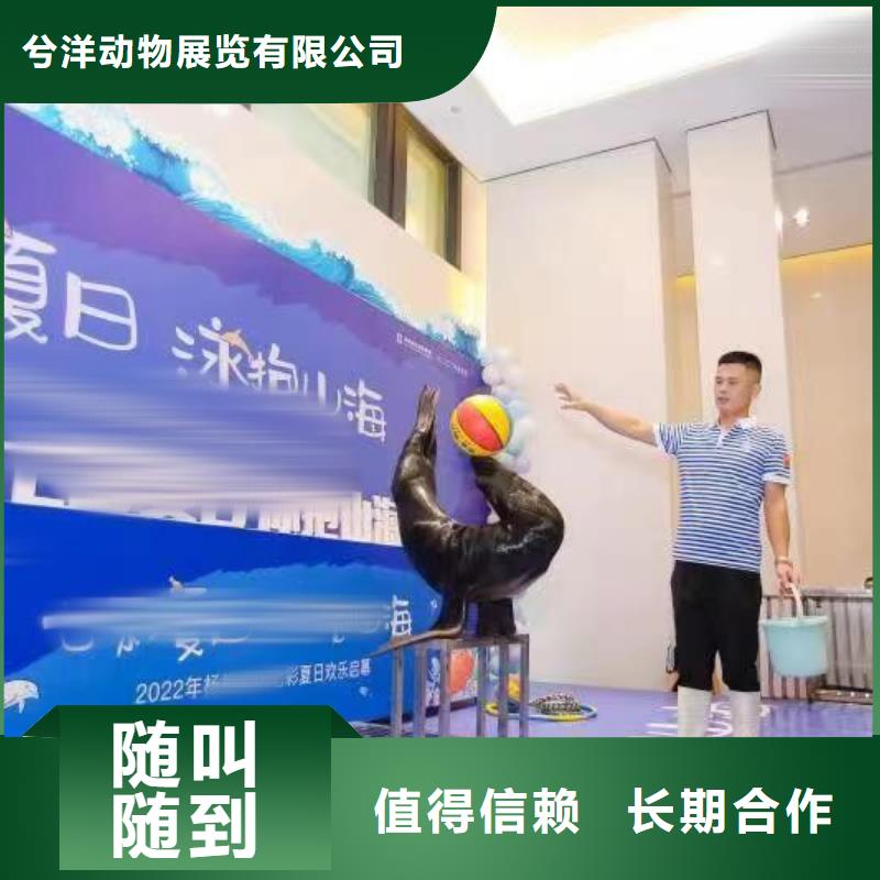 海洋生物展租赁
