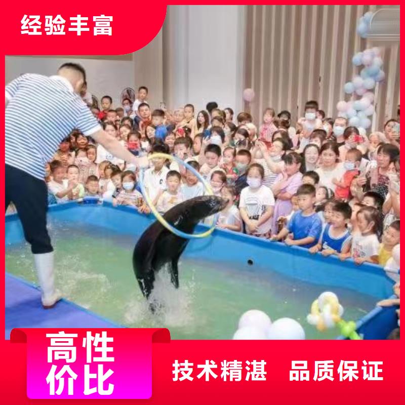 海洋主题动物表演_房地产开盘庆典实力商家