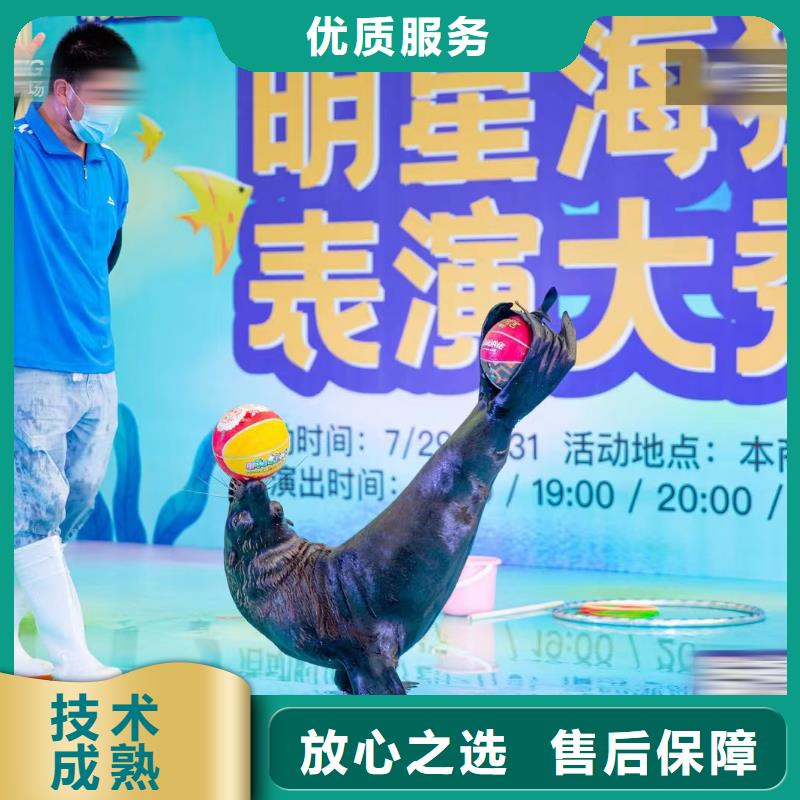 海洋主题动物表演出租马戏表演实力团队