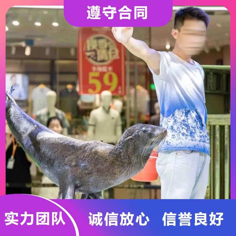 海洋主题动物表演杂耍演出服务热情