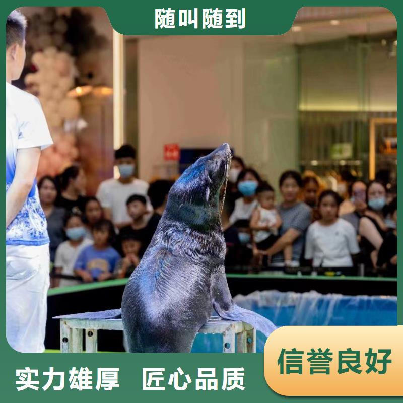 海洋主题动物表演美人鱼表演高性价比