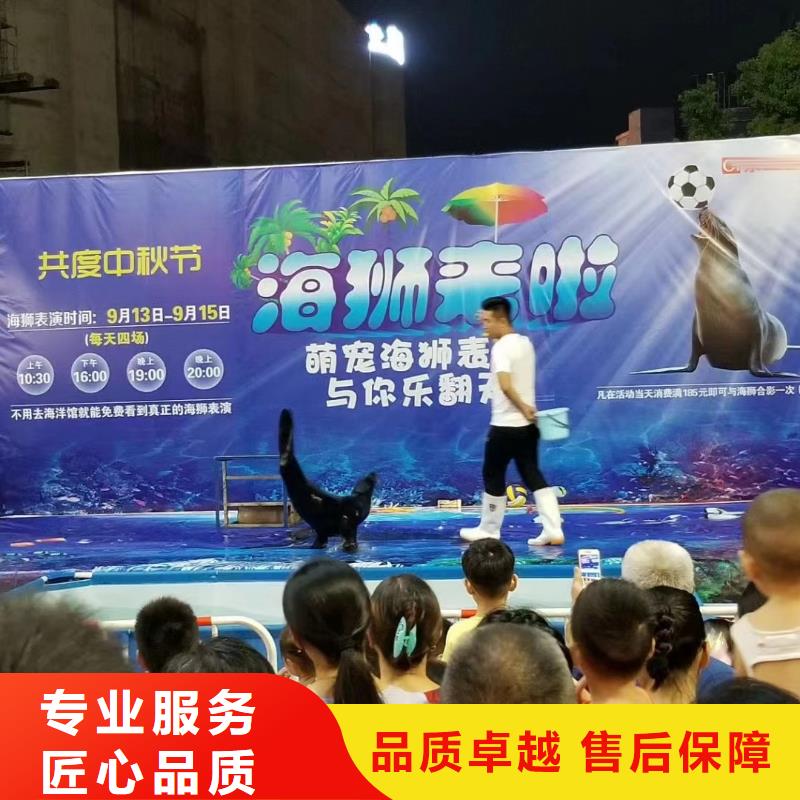 海洋主题动物表演_企鹅出租品质服务