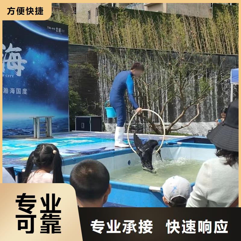 海洋主题动物表演出租表演鹦鹉团队