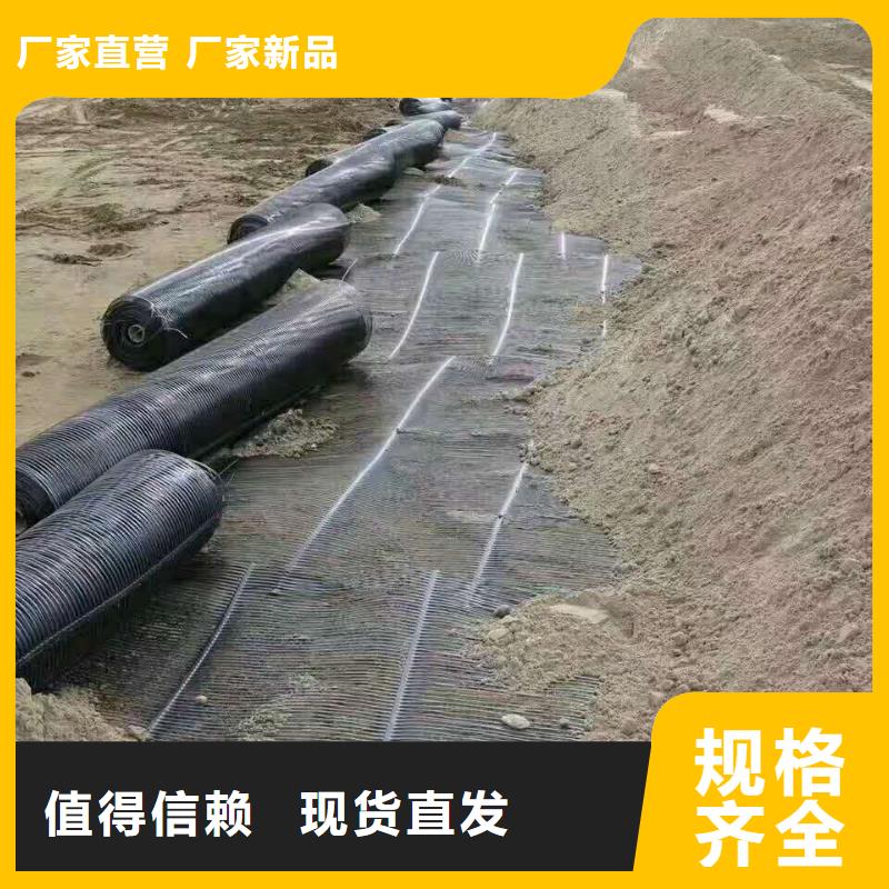 双向塑料土工格栅批发价格