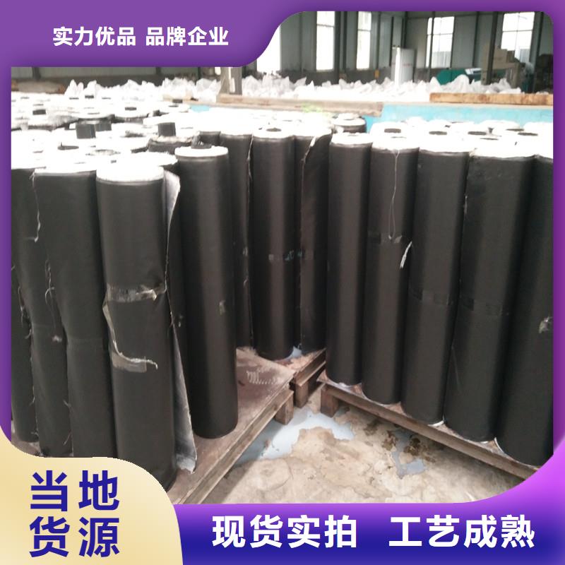 土工格栅\抗裂贴经编涤纶土工格栅做工精细