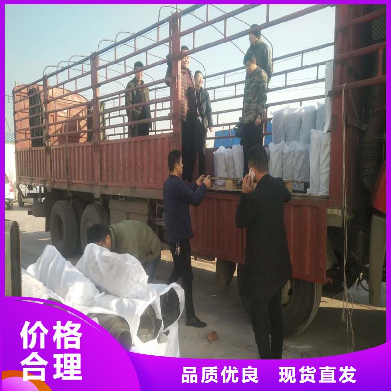 玻纤格栅型号齐全