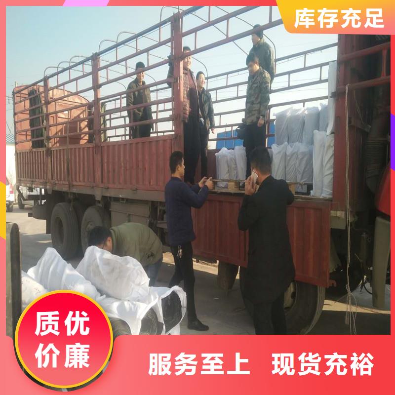 土工格栅\抗裂贴涤纶格栅快捷的物流配送