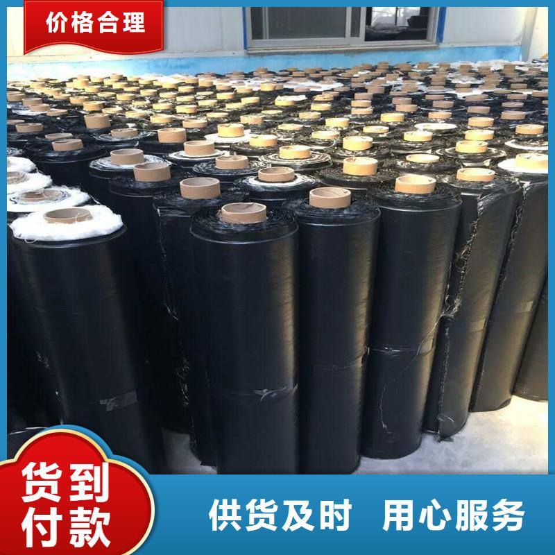 塑料土工格栅单价