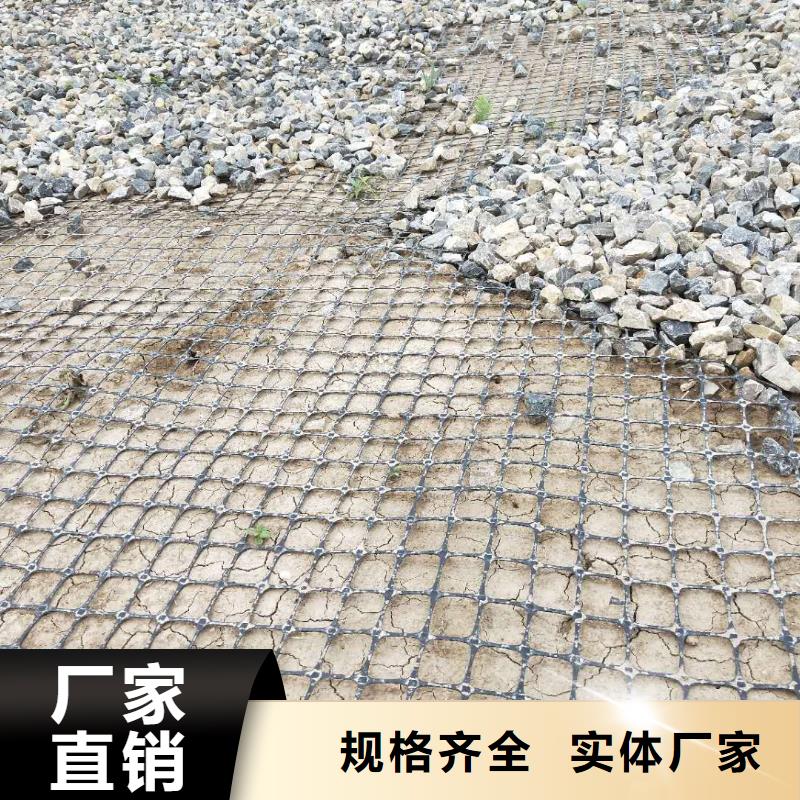 钢塑焊接土工格栅直销价格