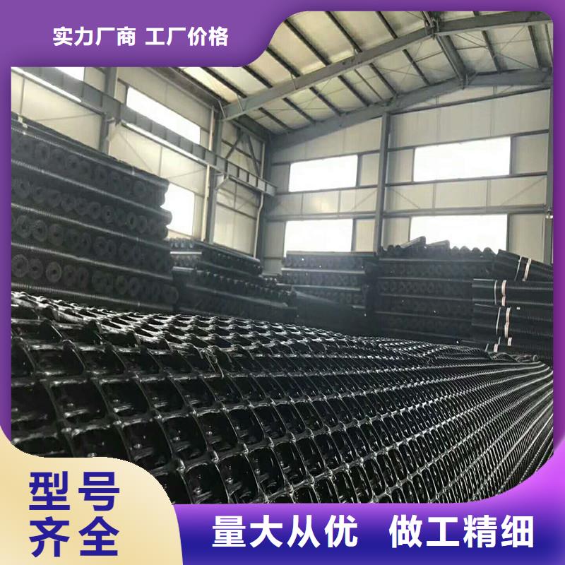 钢塑土工格栅直销价格