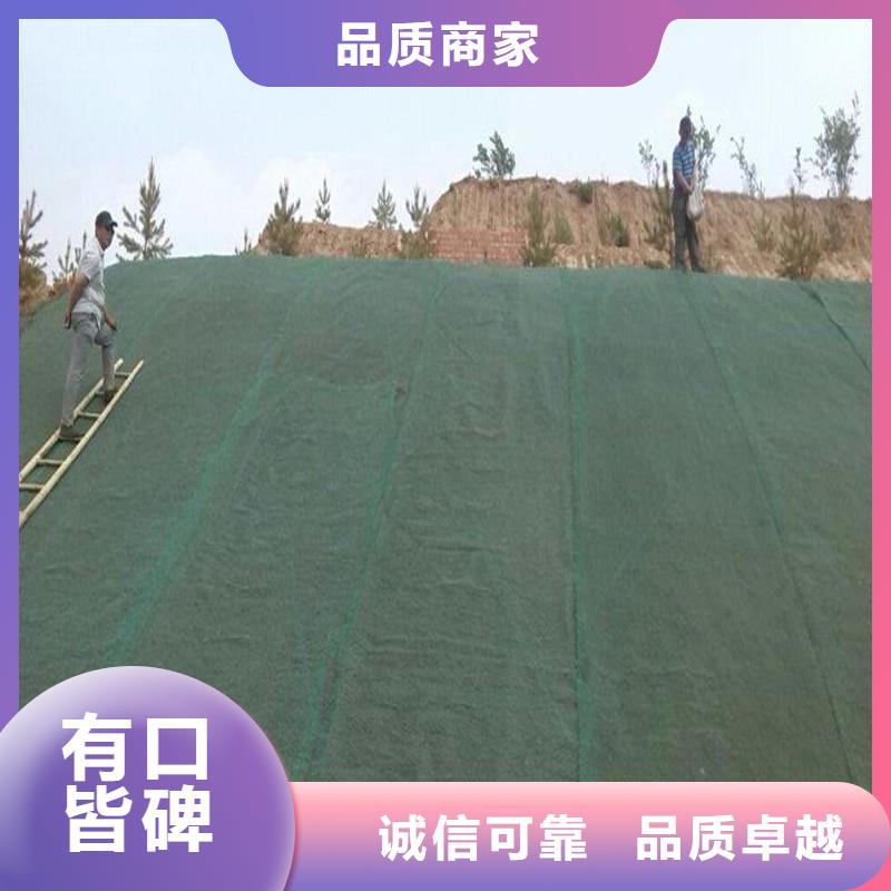 土工布钢塑土工格栅库存充足
