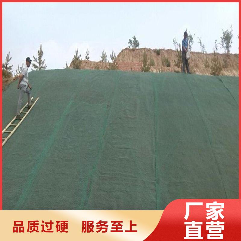 短丝土工布生产厂家