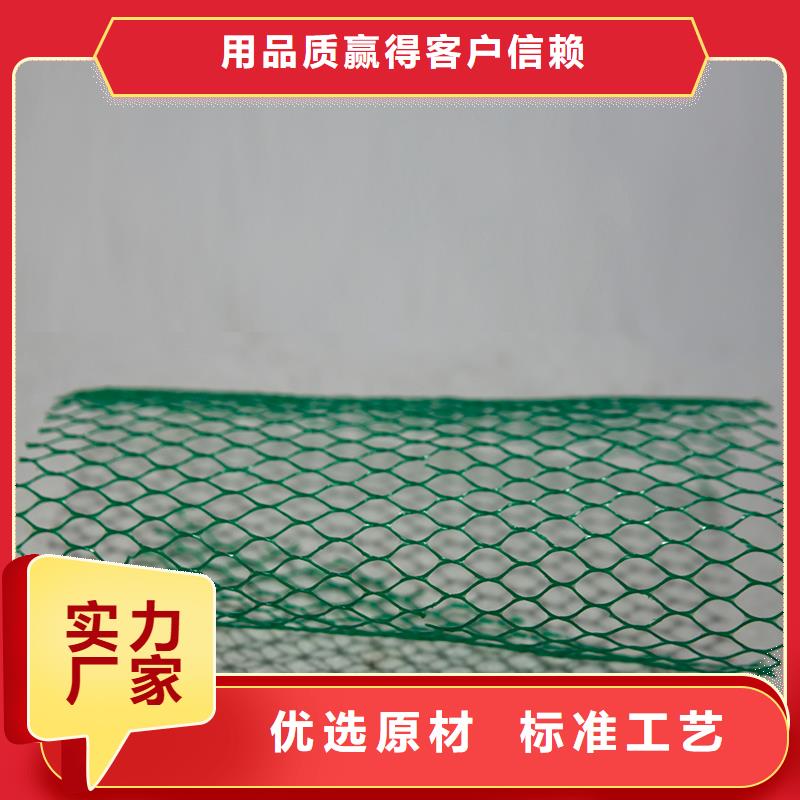 【土工布】网格布价格实惠