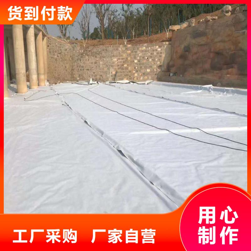 土工布钢塑格栅生产安装