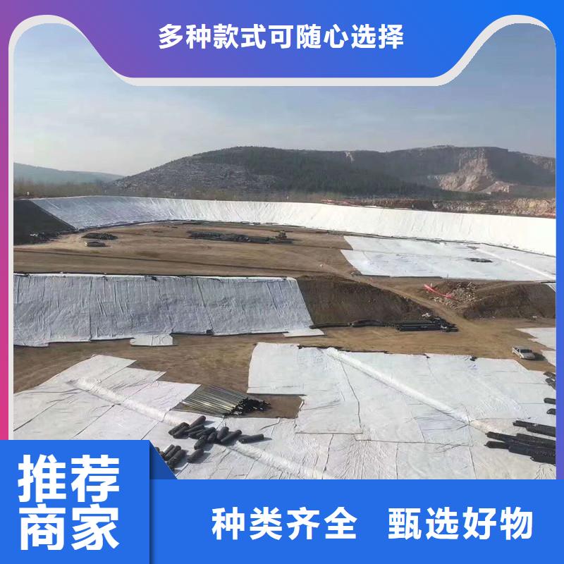 土工布玻纤土工格栅品质保证