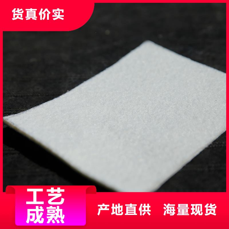 土工布双向塑料土工格栅专业生产制造厂