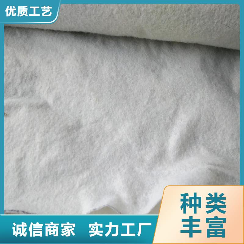 土工布玻纤土工格栅质保一年