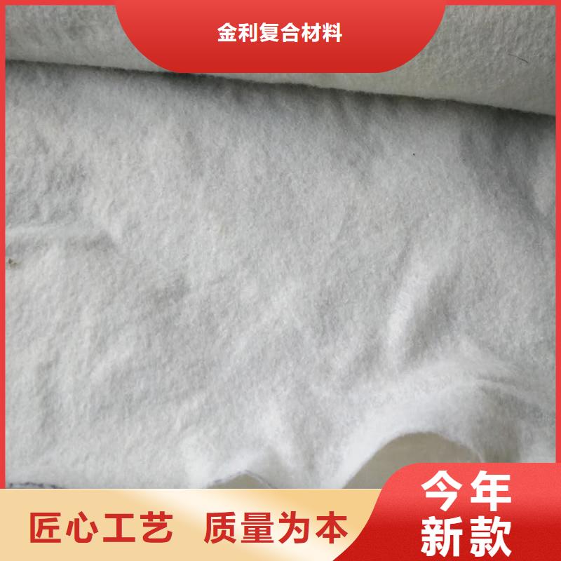 土工布钢塑土工格栅专业信赖厂家