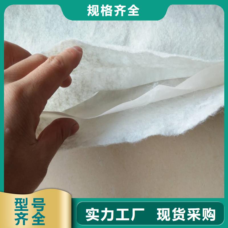 土工布_植草格敢与同行比价格
