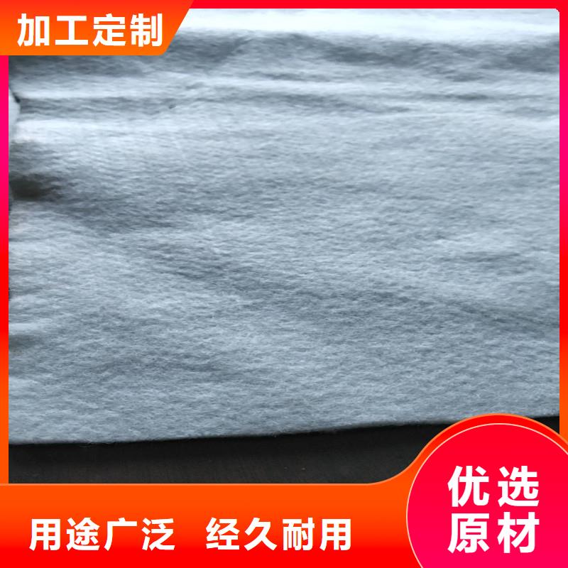 土工布_植草格敢与同行比价格