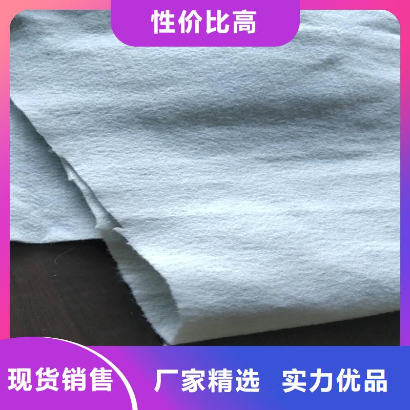 土工布-矿用阻燃网快速发货