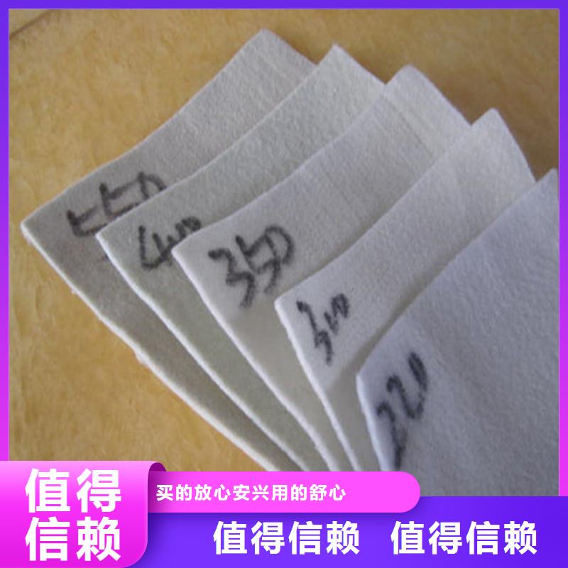 【土工布】拉筋带源头工厂量大优惠
