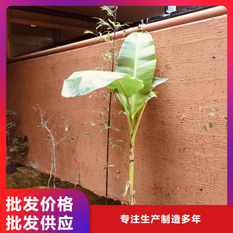 黄泥墙稻草漆销售