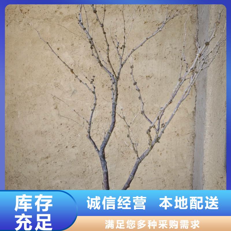 断层仿泥巴墙涂料厂家#内外墙稻草漆#民宿改造#乡村建设