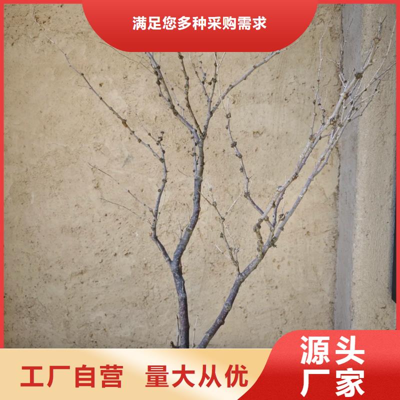 仿泥巴漆源头厂家
