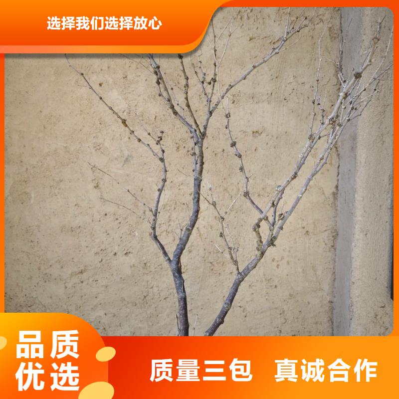酒店稻草漆可在线咨询价格