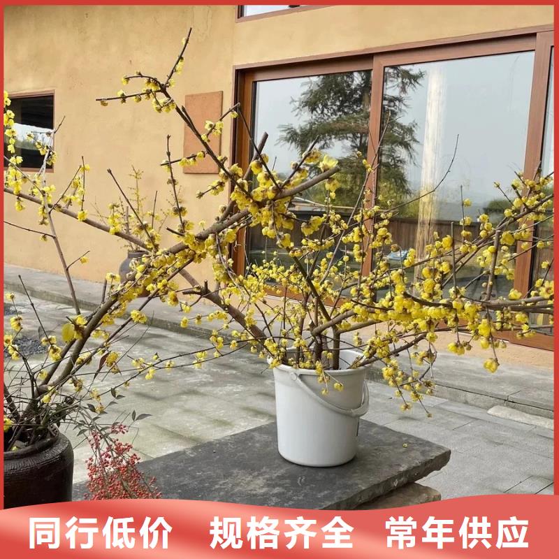 断层仿泥巴墙涂料施工#农家小院#乡村建设#民宿改造