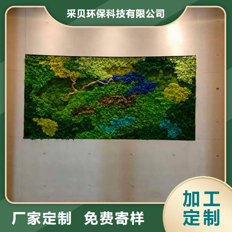 微水泥一公斤价格