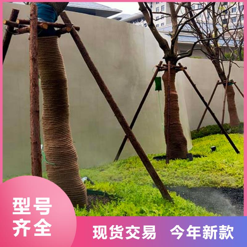 微水泥,【稻草漆批发厂家】做工精细|花溪|清镇|黔南|黔东南|遵义|安顺|毕节|铜仁厂家