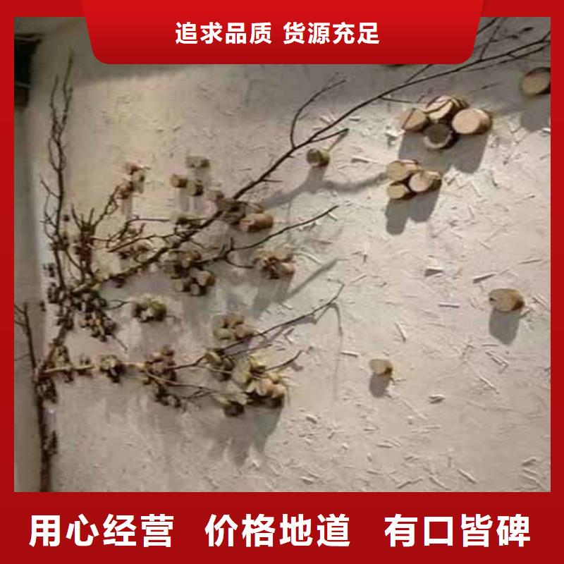 雅晶石涂料厂家