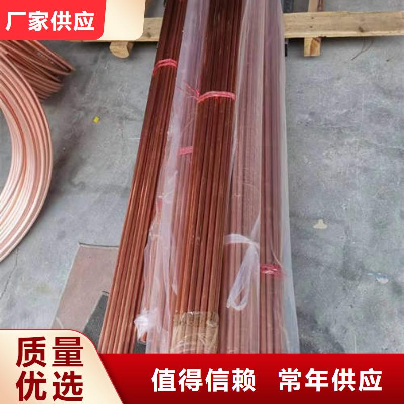 桃江紫铜棒源头厂家