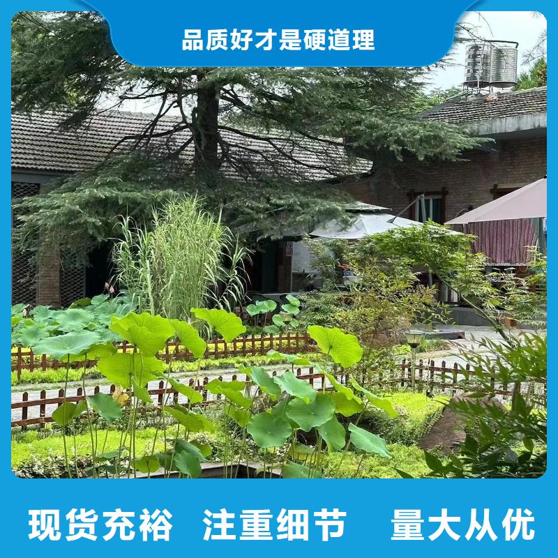 乡村自建别墅房屋