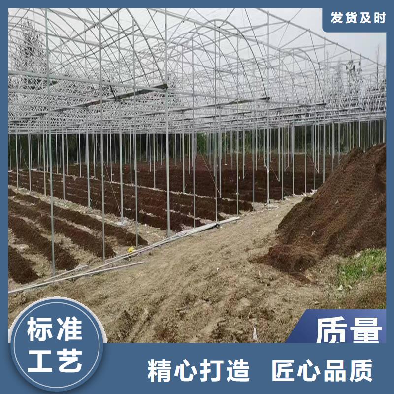 石台县进口PEP利得膜实体大厂2025乡村振兴计划