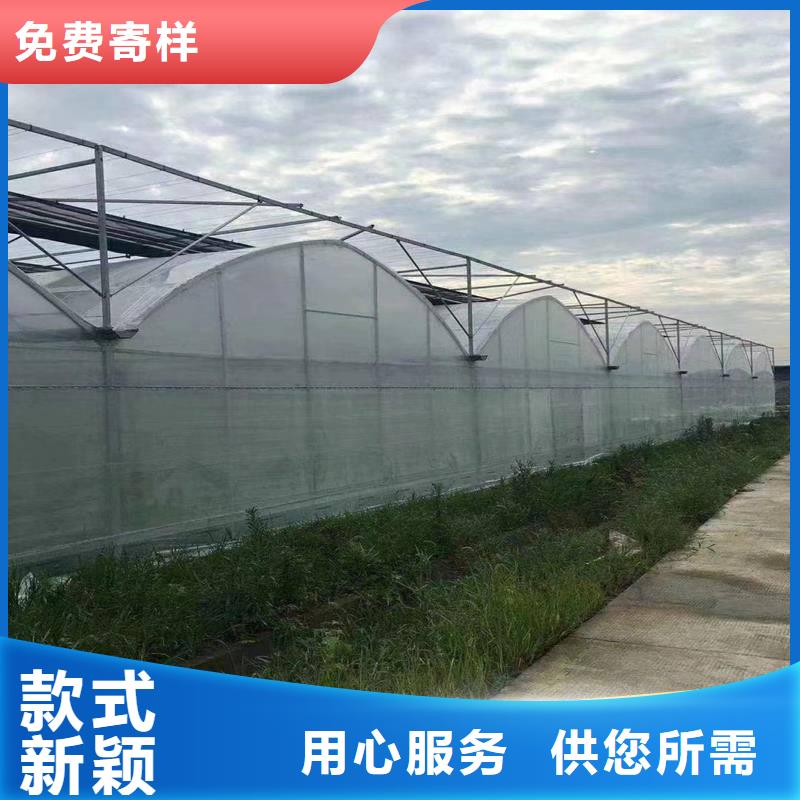 永年县草莓西瓜擦地棚生产基地
