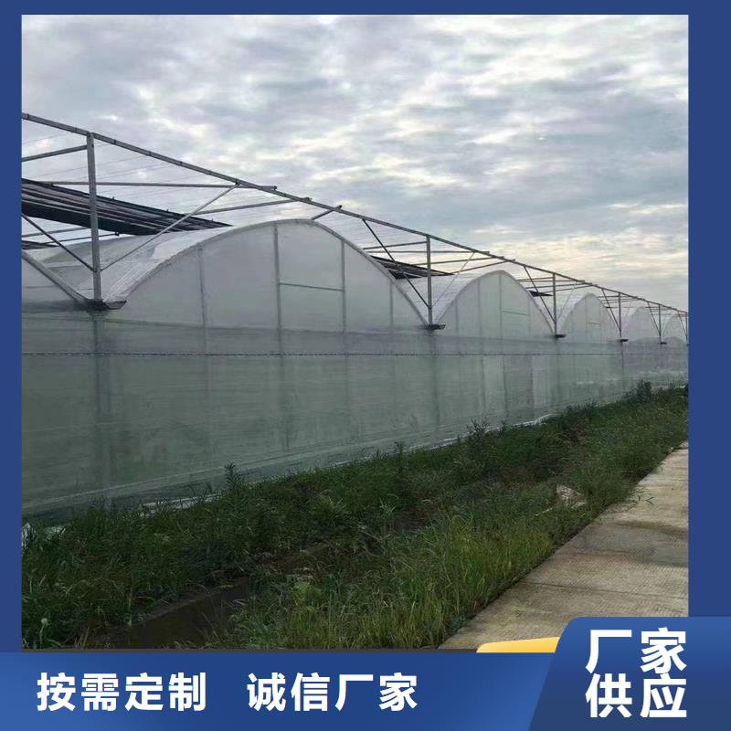 龙江县温室钢架大棚价格实力老厂2024-8-28