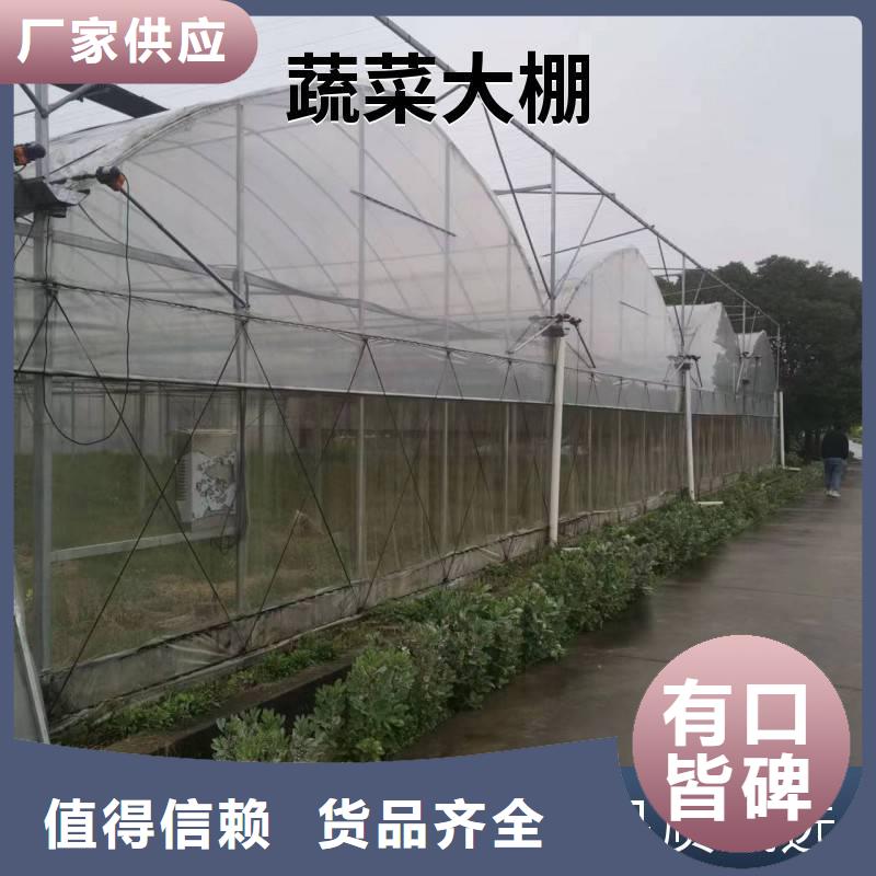 永年县草莓西瓜擦地棚生产基地